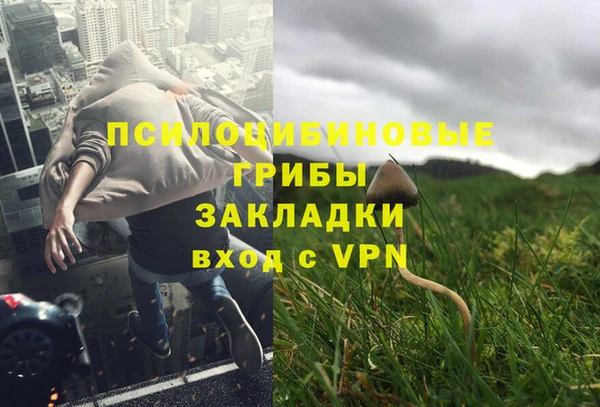 PSILOCYBIN Богородск