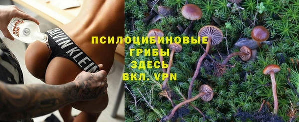 кокаин перу Богданович