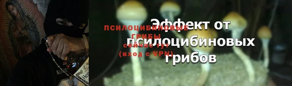 кокаин перу Богданович