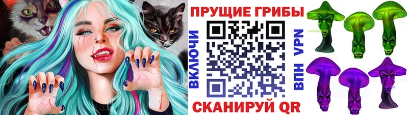 Галлюциногенные грибы Psilocybine cubensis  где продают   Невельск 
